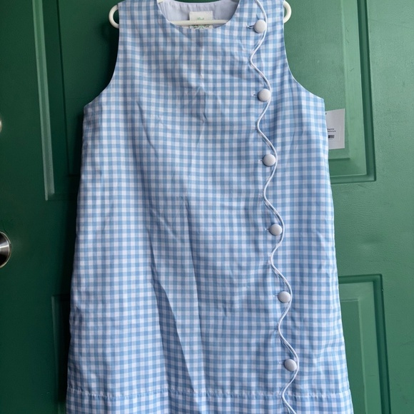 NEW size 10 Mint Magnolia Sara Shift Ballantyne BLue gingham - Picture 2 of 7